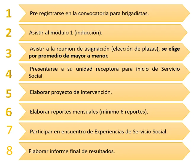 Proceso del brigadista